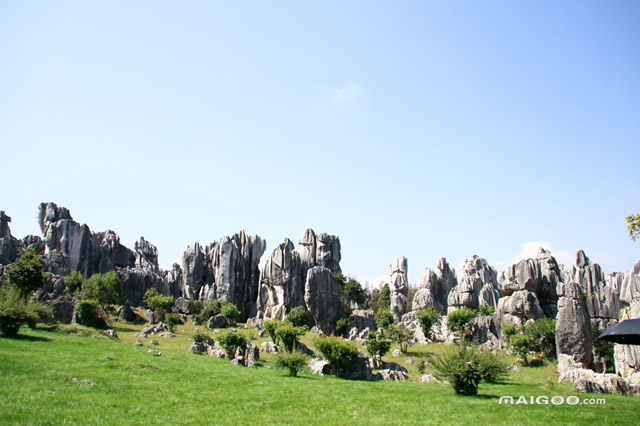 昆明有哪些旅游景点推荐,风景美的地方旅游景点推荐昆明