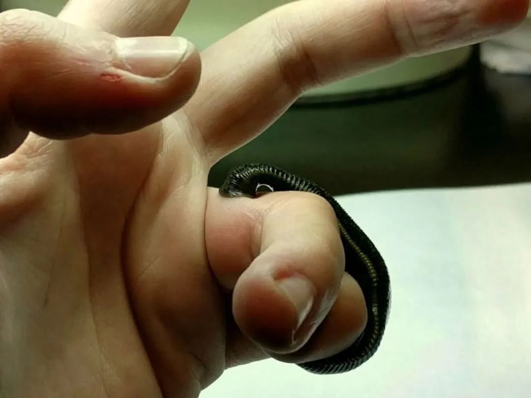 绉戝鐮旂┒姘磋洯,绉戝姘磋洯鐮旂┒