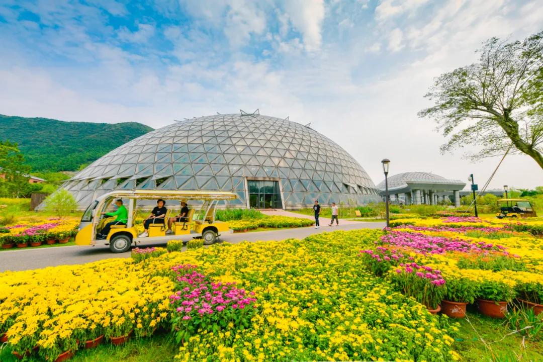 藏不住了！国庆节苏州这片花海美哭了！大人小孩玩到不想走