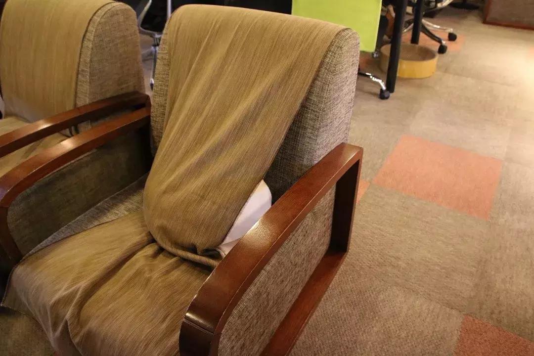 可以撸羊驼撸猫撸狗的咖啡厅,猫咖咖啡馆买猫