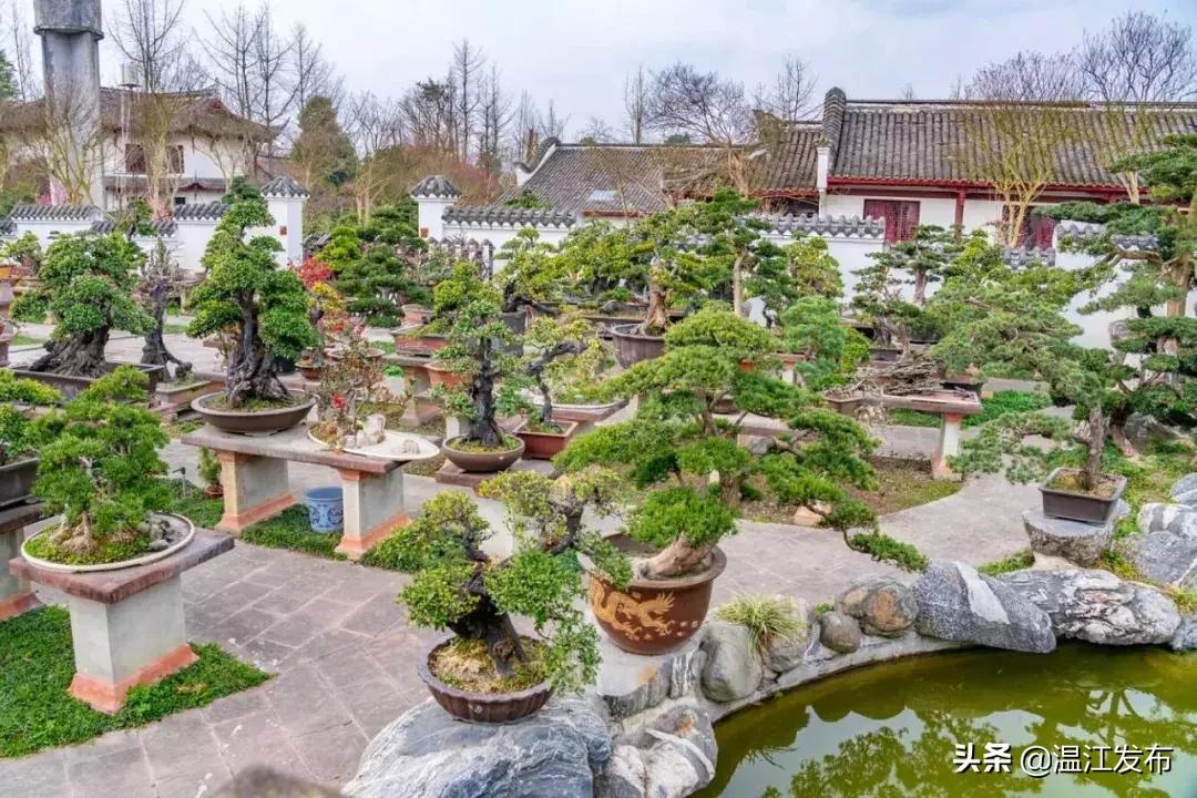 温江区十四五规划要做的十件大事,干大事