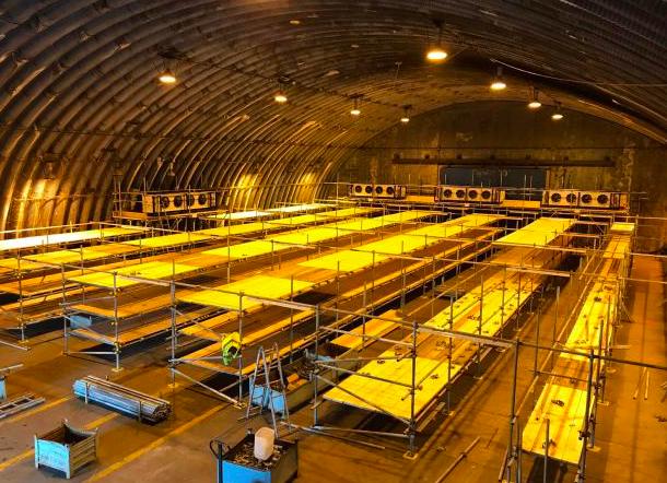 病毒肆虐，英国做最坏打算，将前皇家空军基地被改导致新冠停尸房