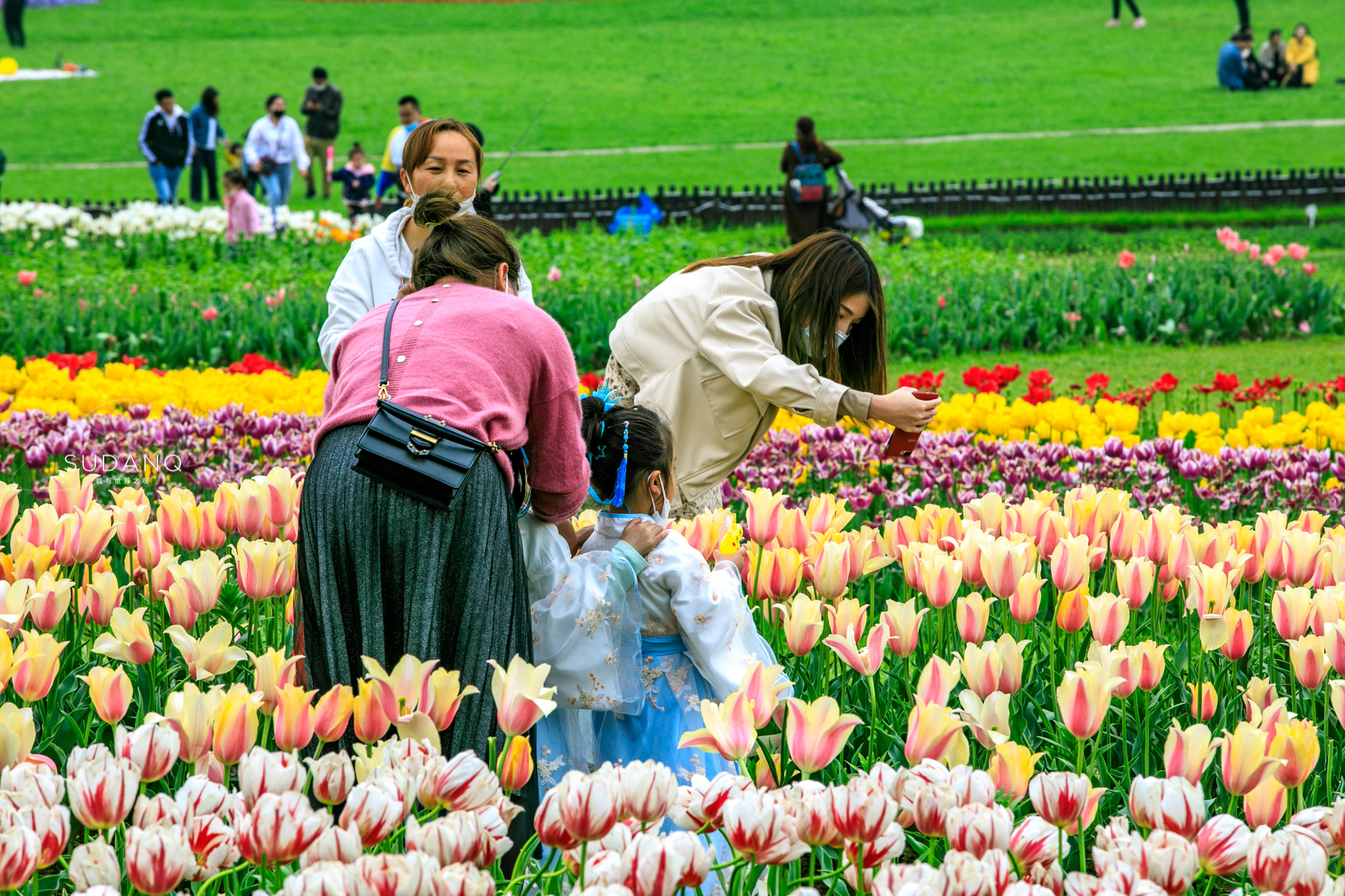 最值得去的鲜花小镇,距离武汉不远的景区