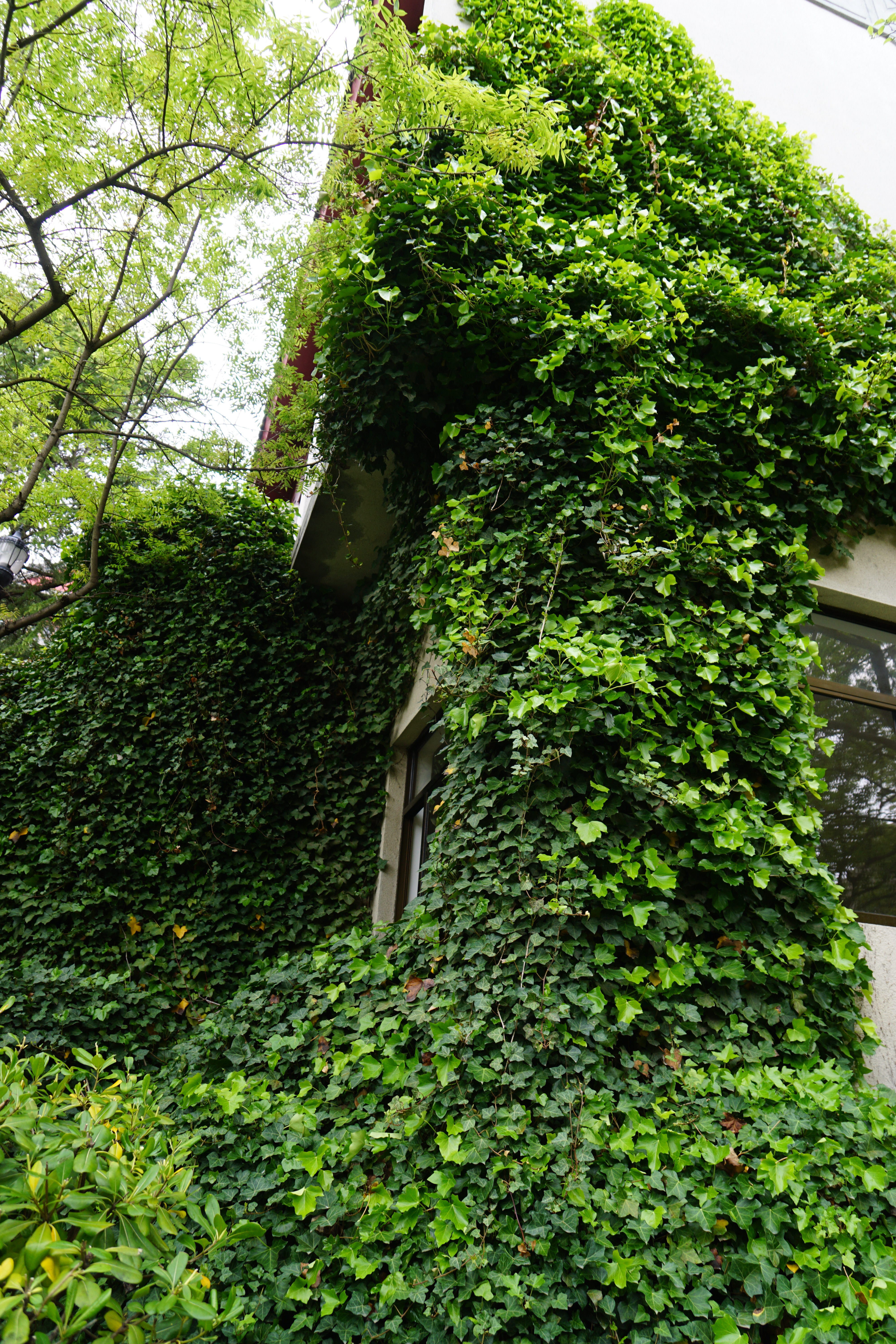 谁为《威海卫》谱曲（20-169）