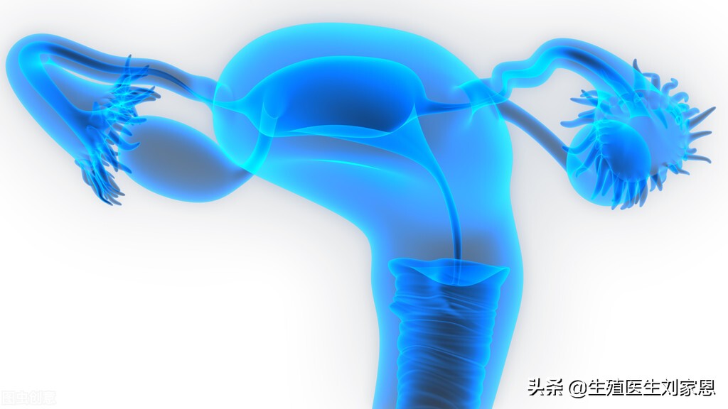 盆腔积液粘连怎么治疗,流产后宫腔粘连怎么办呢