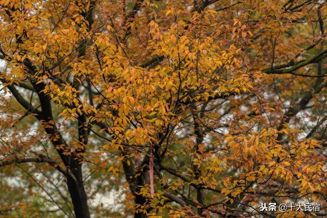 苏州西山旅游攻略三日游路线,苏州西山一日游最佳攻略冬天