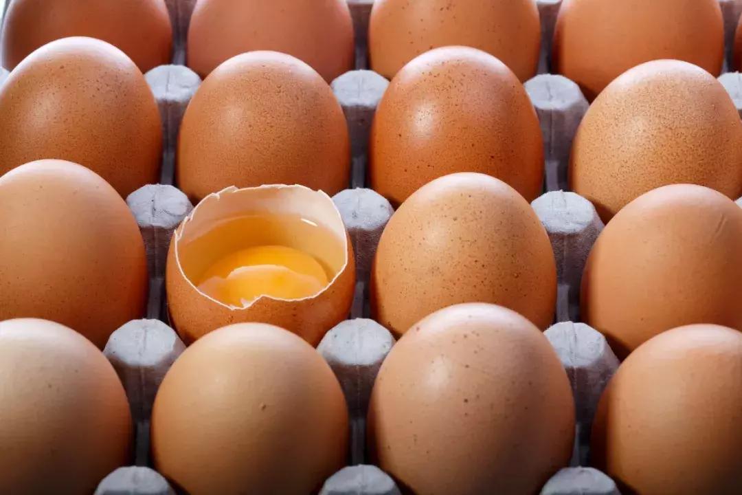 对鸡蛋面粉西红柿过敏怎么吃辅食,吃辅食鸡蛋过敏有什么症状