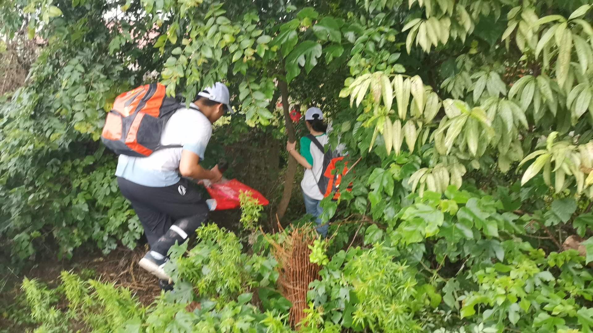 保护儿童安全共同成长直播2020年,关爱儿童安全携手儿童成长