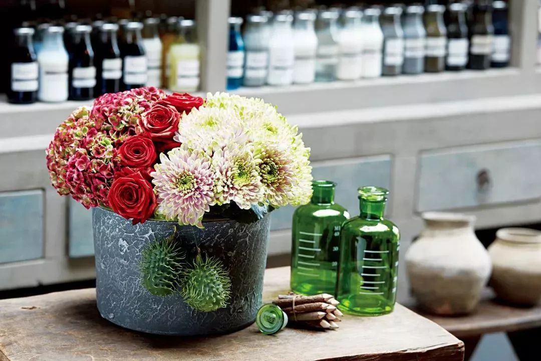 好看的切花菊推荐,好看好养的切花菊