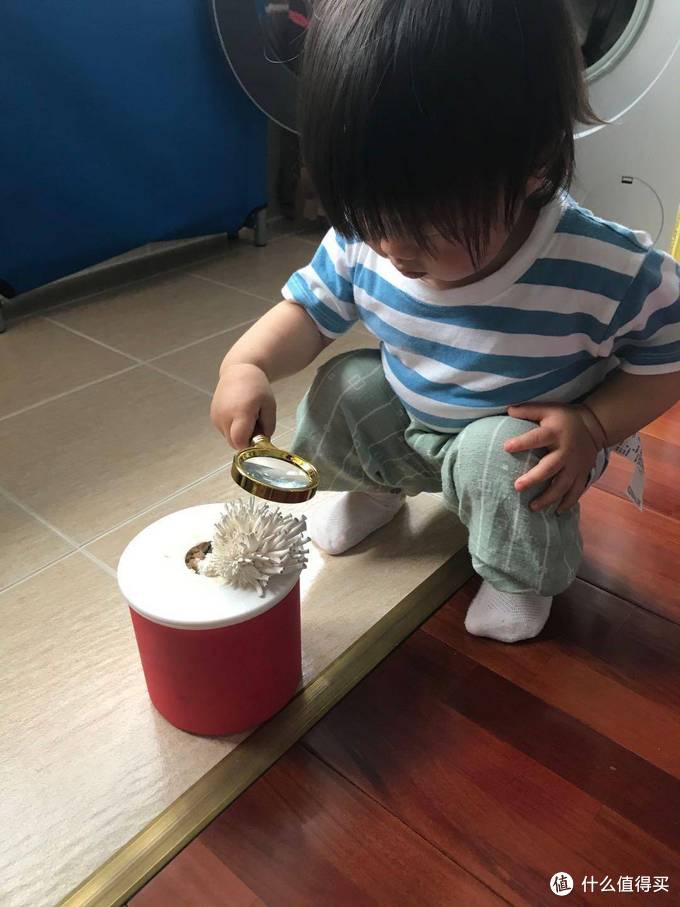 怎么给孩子进行steam教育,为什么孩子要学steam教育