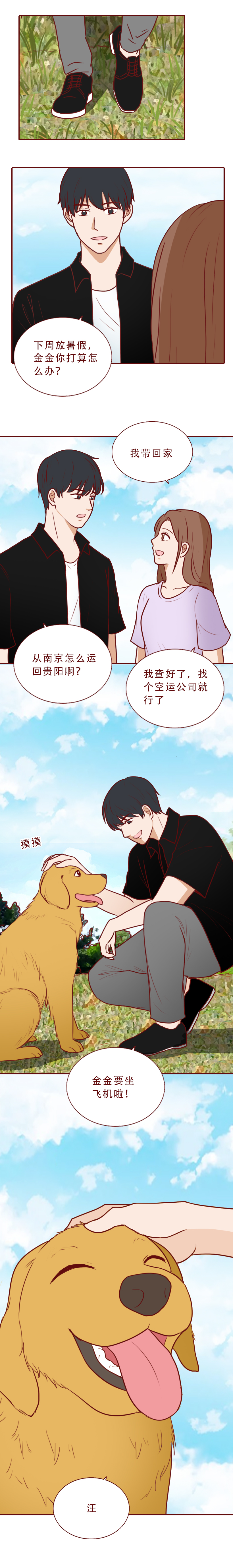 瀹犵墿鎵樿繍鍑轰簨婕敾,瀹犵墿鎵樿繍浜嬩欢鍚庣画婕敾