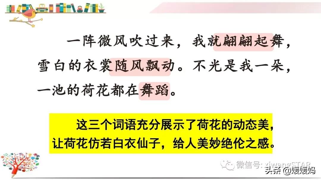 三年级下册荷花ppt课件部编版,三年级下册语文第三课荷花小练笔