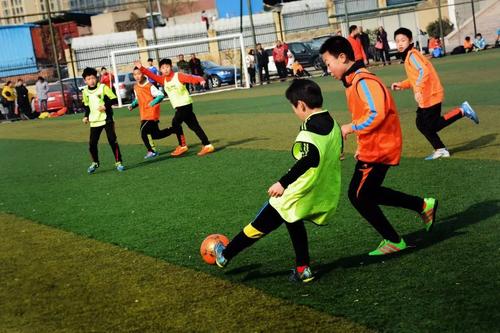 中国有多少青训足校,中国所有的足校