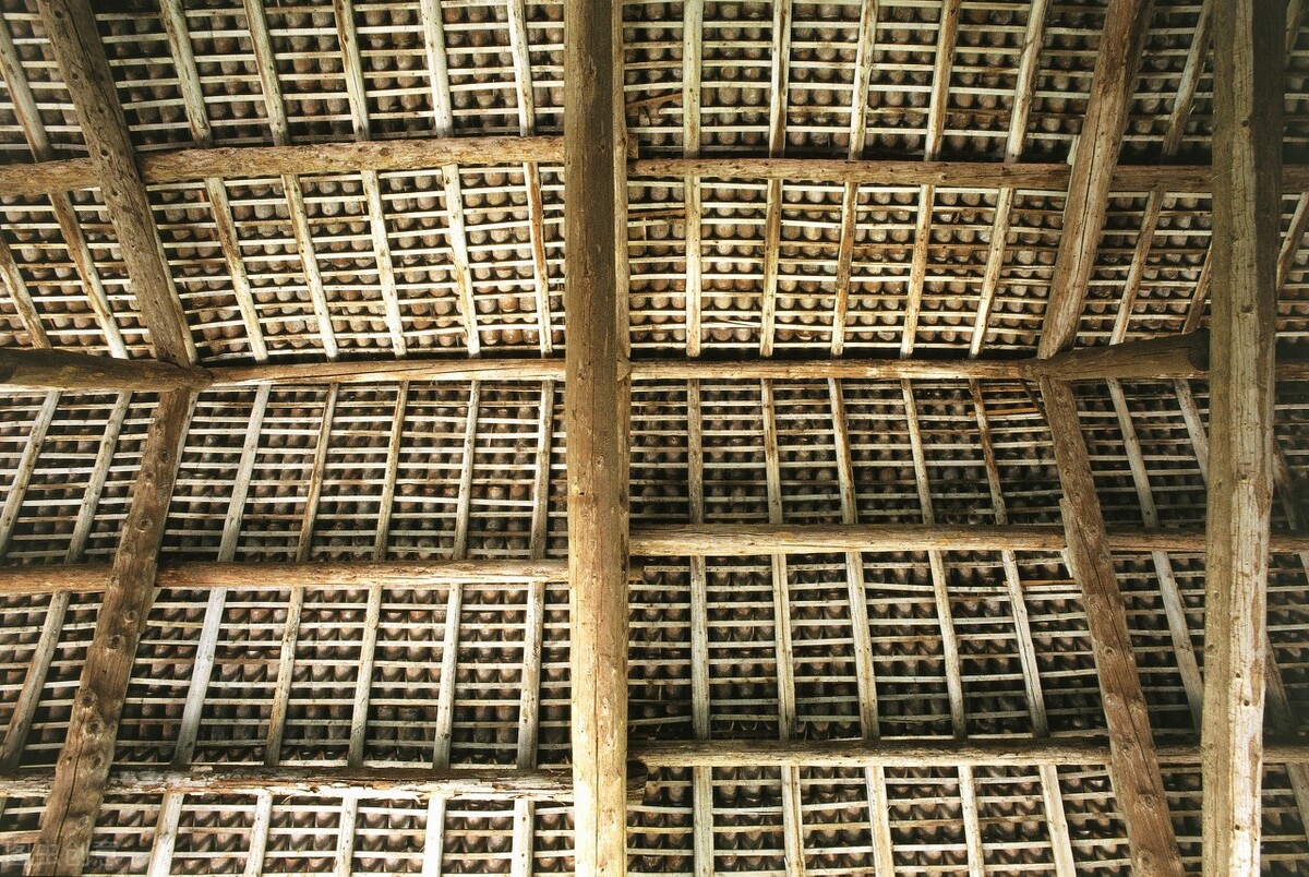 大叔捡到钱包联系失主,小伙子捡到一大袋钱