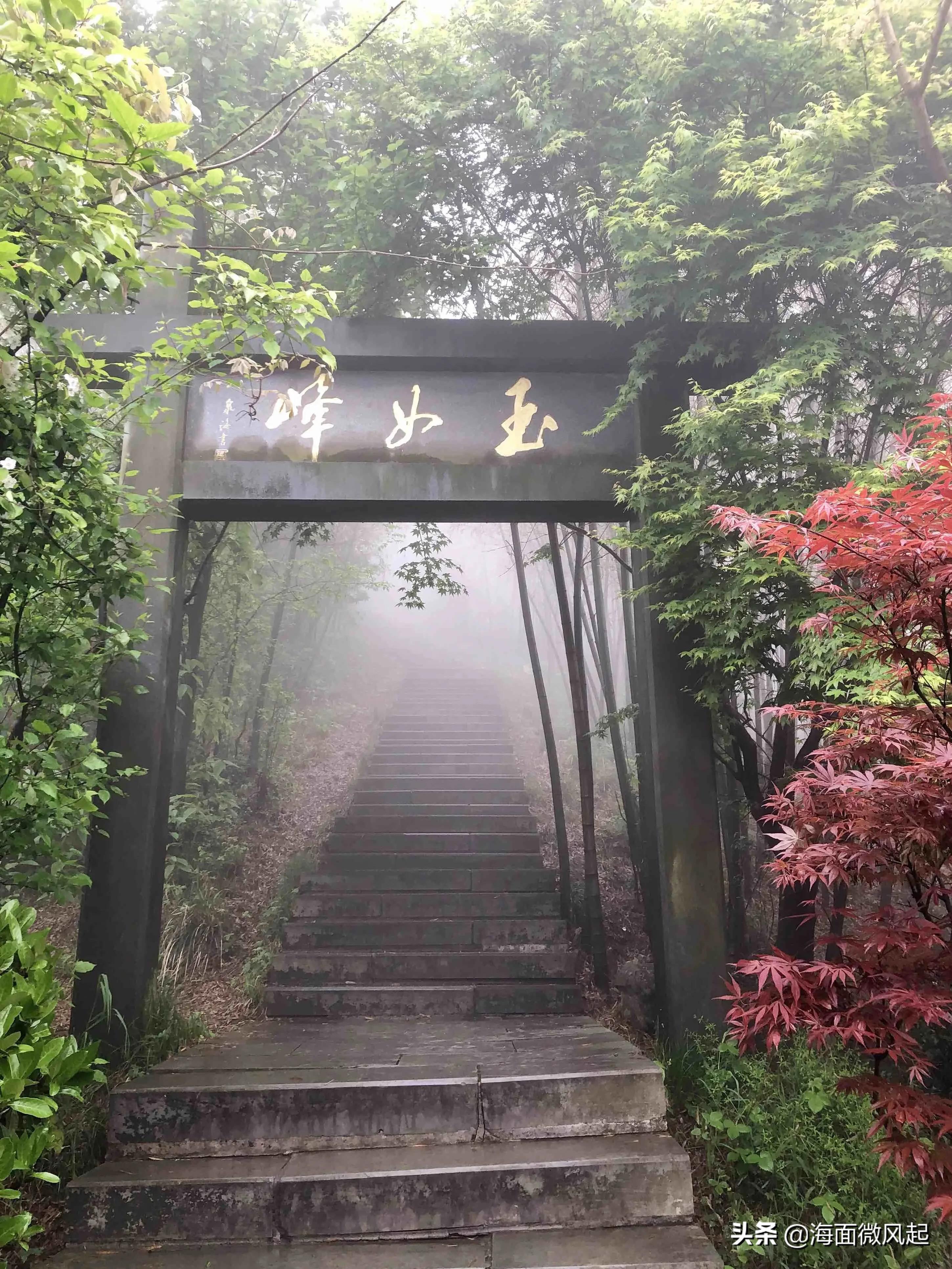 湖北宜兴竹海天然氧吧,宜兴天然氧吧森林公园