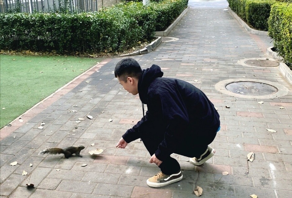 冯照洋带大的杨九郎,冯照洋谈杨九郎