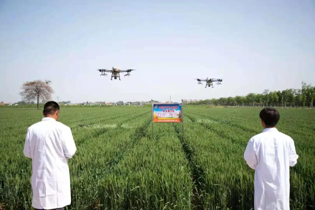 鑲ヤ埂娌冨湡绉嶄笟,鑲ヤ埂娌冨湡绉嶄笟鏈夐檺鍏徃鍦板潃