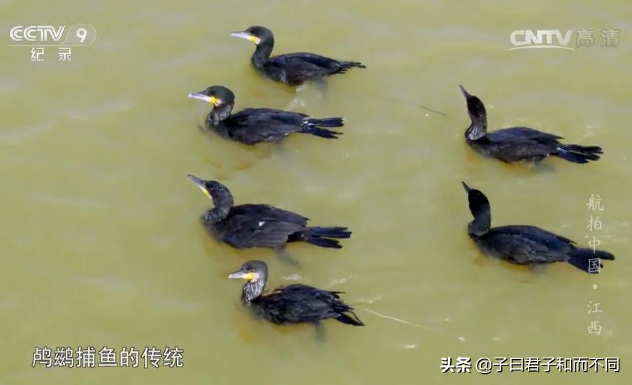 航拍中国江西完整版,航拍中国鄱阳湖