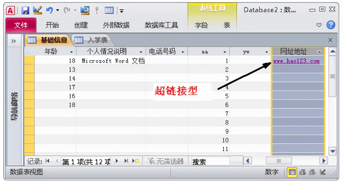 最新access数据库入门教程,access2019数据库入门教程