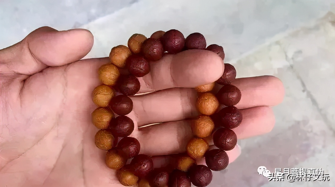 凤眼菩提最全面的讲解长篇,凤眼菩提最全面的讲解