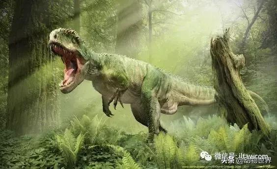 地球上的顶级掠食者,人类是地球上最顶级的掠食者