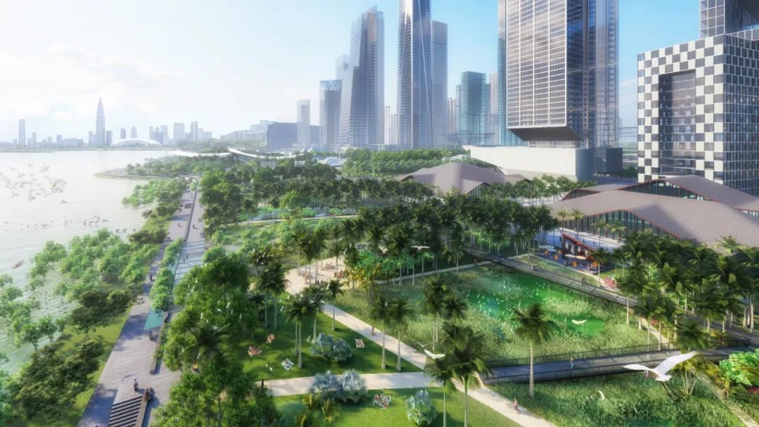 深圳湾超级总部基地绿化,深圳湾超级基地