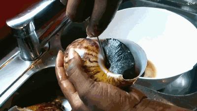 和小狗一般大的蜗牛是宠物，是非洲美食，我们吃货不敢下嘴