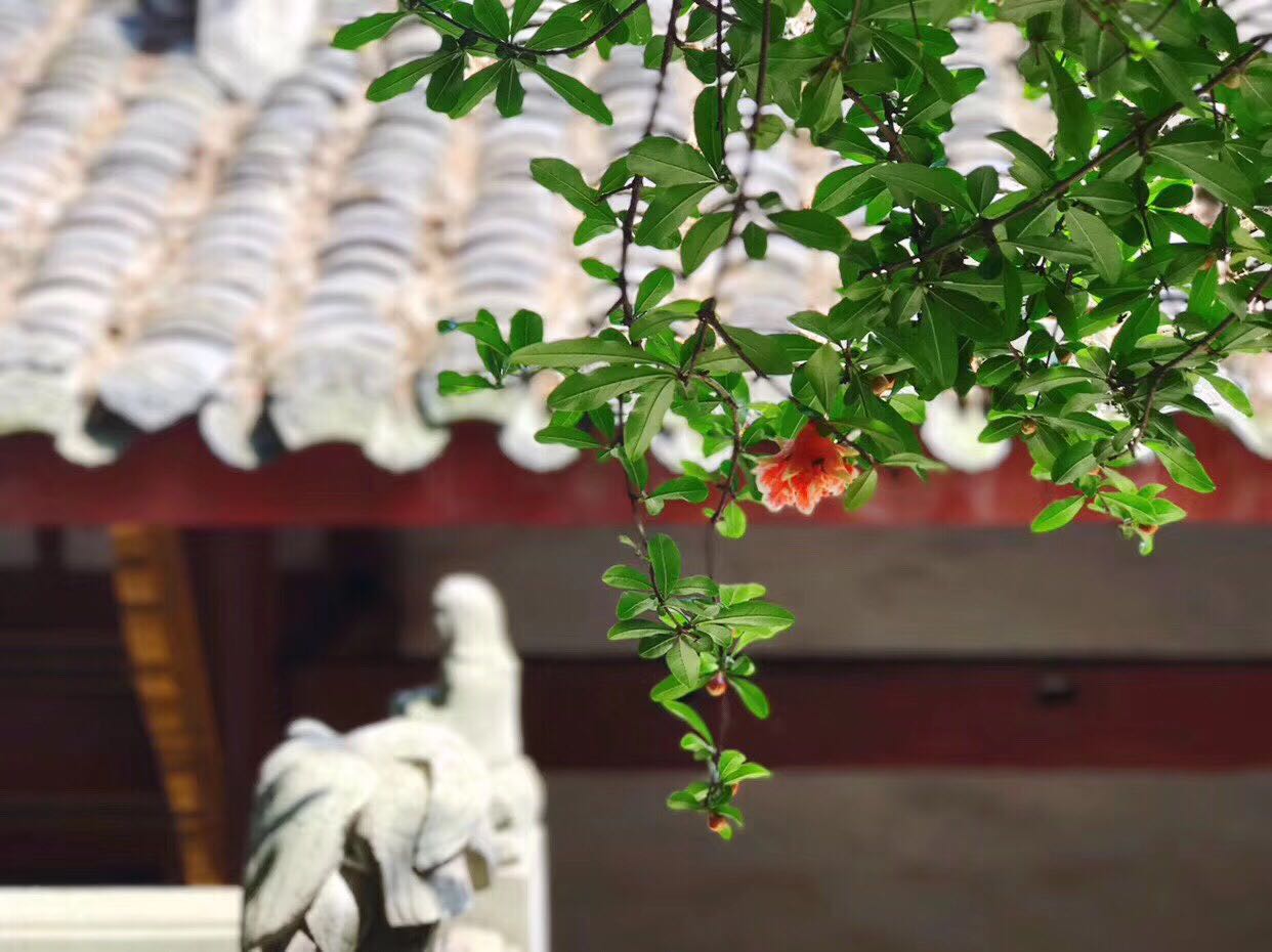 移动互联网营销的该怎么做？打通心法，你将所向披靡