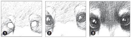 怎么画戴着红领巾的小熊猫,画一只小奶猫超级简单