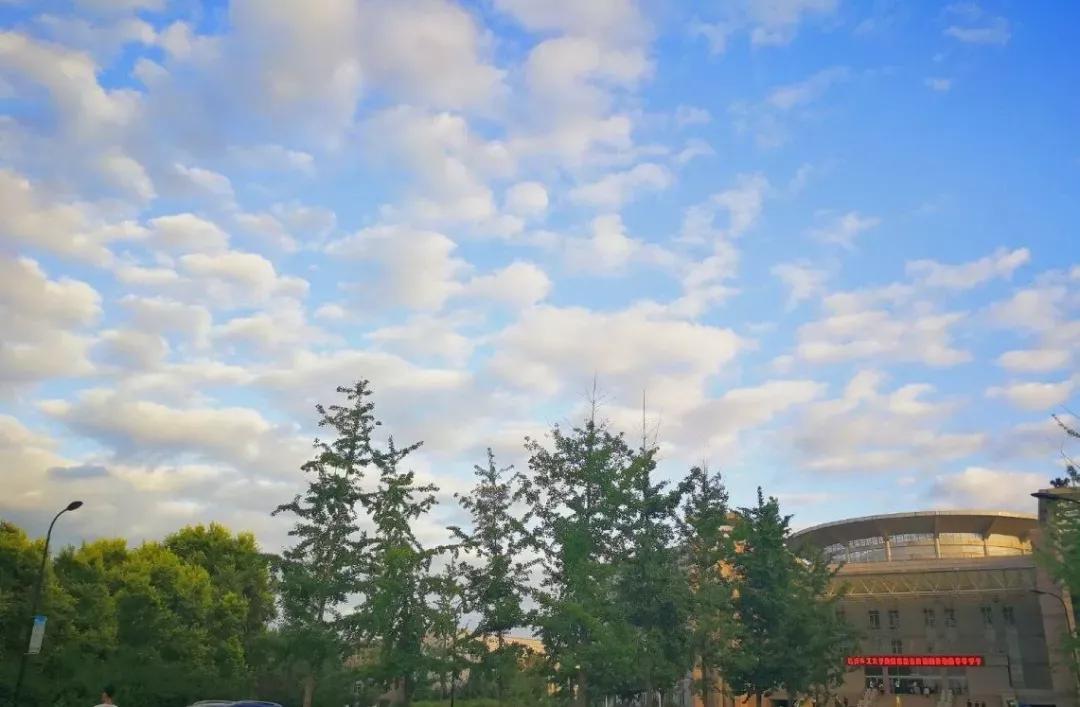 辽宁省普通高等院校,辽宁省沈阳本科大学