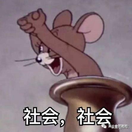 比小团团还火的女主播乔碧萝,斗鱼一姐小团团视频