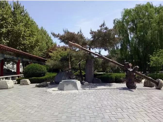 什么地方出产的人参最好最正宗,野生人参是什么时候播种和栽培