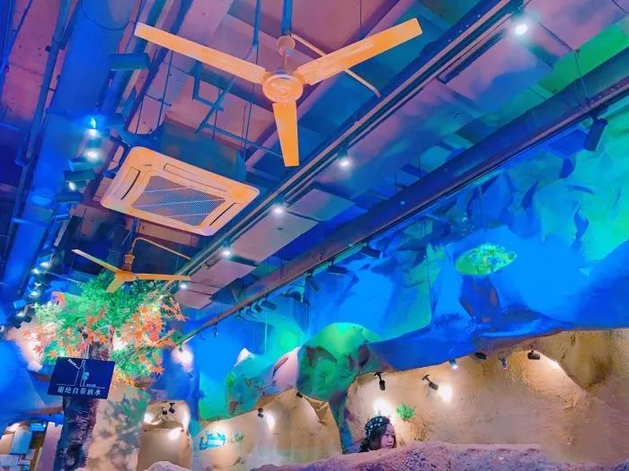 江汉路喵星鱼,招牌青花椒烤鱼湄公鱼优惠团购