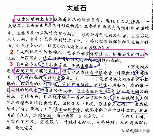 写景状物类阅读要注意哪两点,写景状物类文章常见表现手法