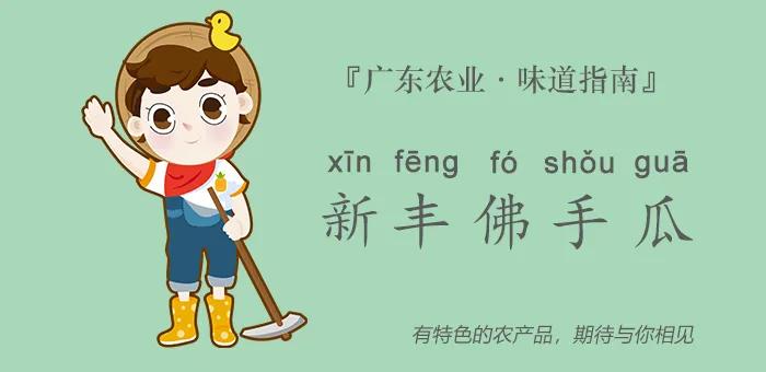 @吃瓜群众这款“佛系瓜”健脾开胃、祛风解热，甚至还能提高智力，全身都是宝！