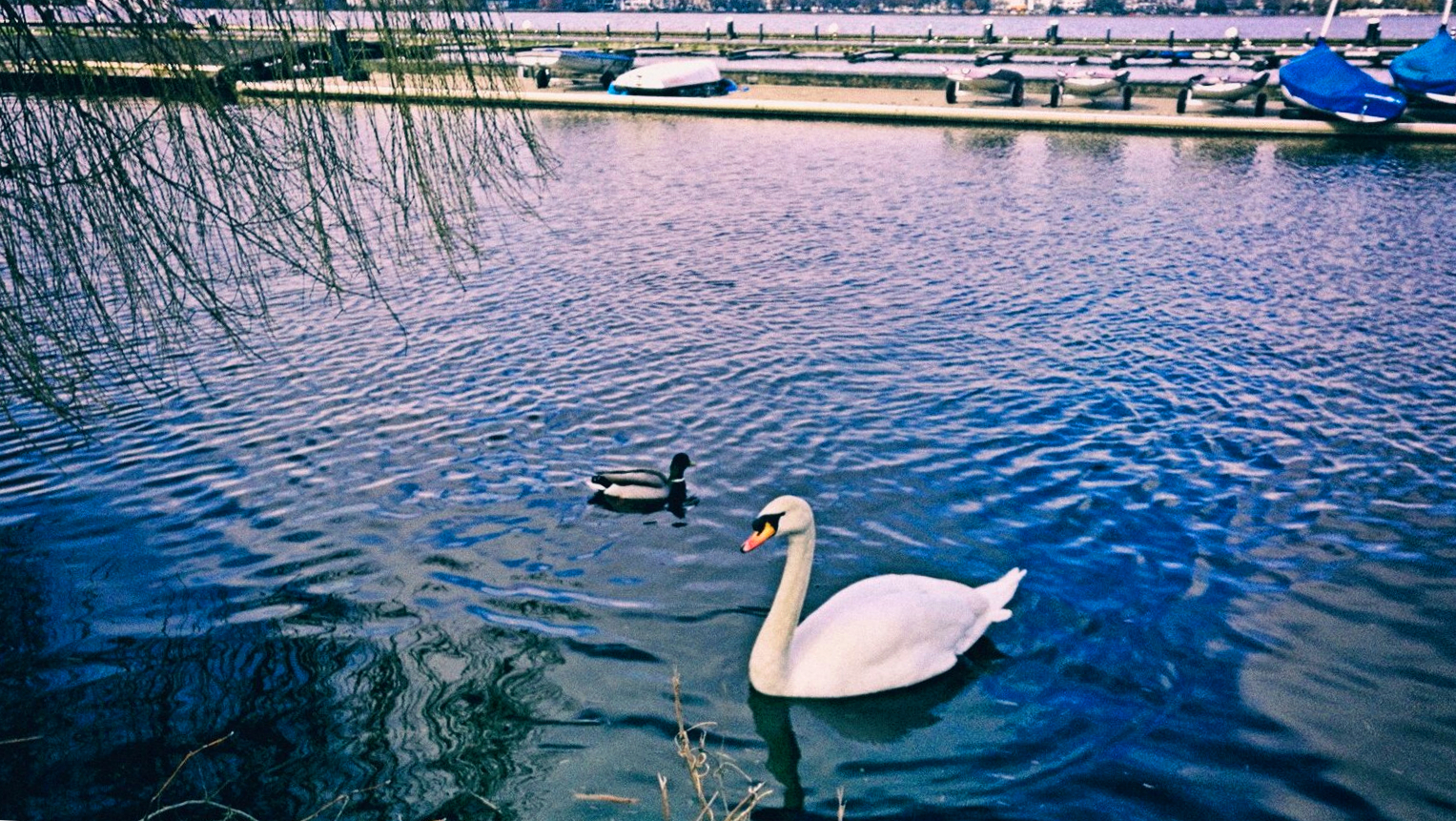 寰峰浗姹夊牎涓浗涔嬫梾,寰峰浗姹夊牎鏃呰