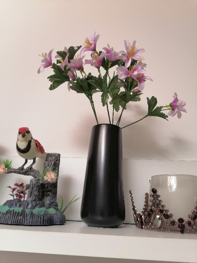 懒人养花小妙招盆栽,懒人养花直播