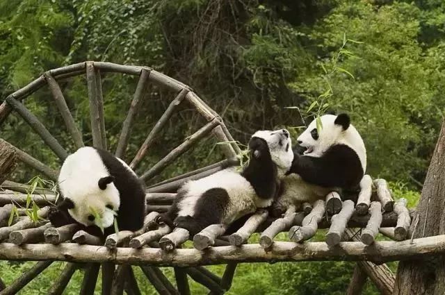 足不出门，在家逛遍中国55处世界遗产！（下）