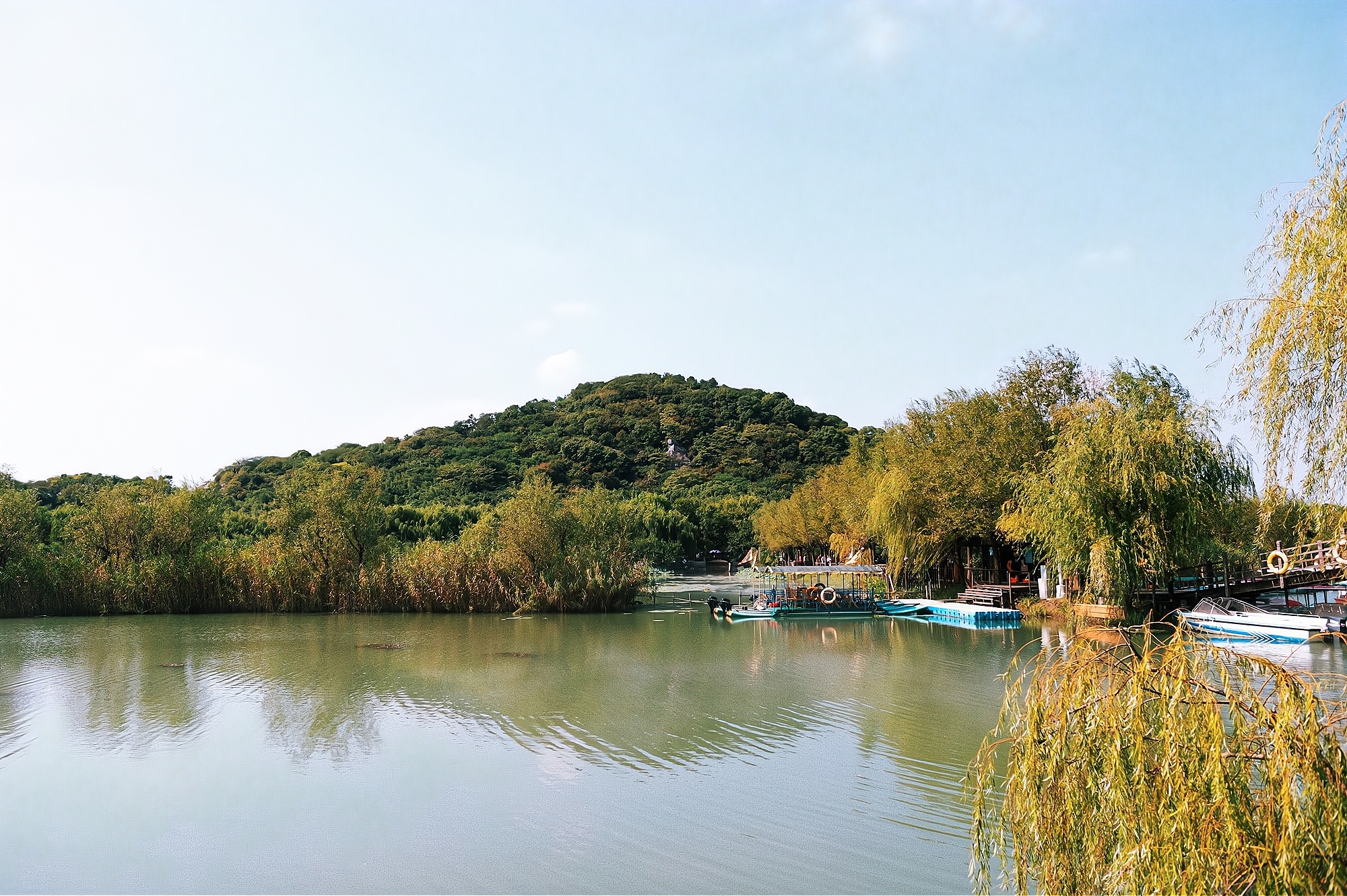 苏州隐秘岛屿有哪些景点,苏州你不知道的蓬莱秘境