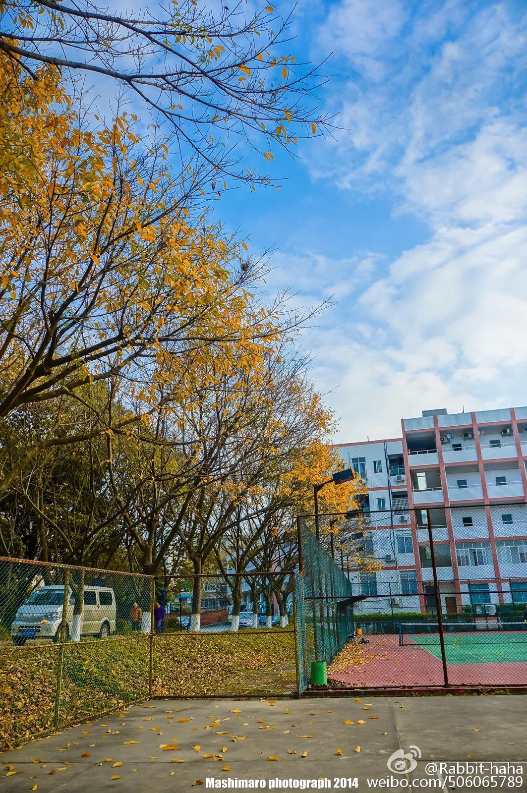 春暖花开是一年中最美丽的季节,春暖花开的季节享用大自然的美景