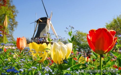 不能错过的狂欢节,不能错过2022年的春天万物复苏