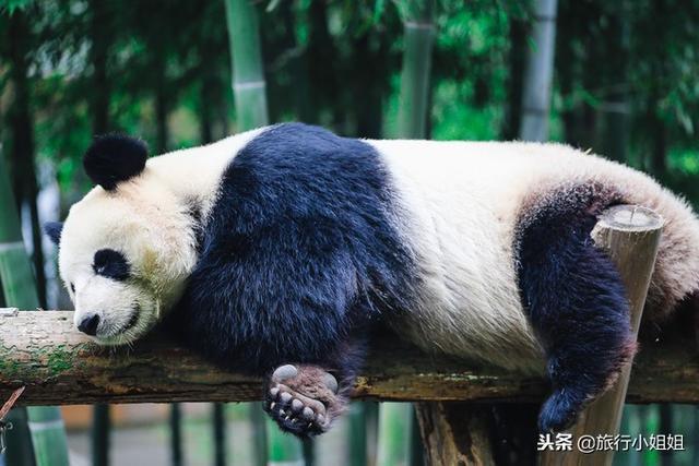 天目湖加南山竹海哪里泡温泉好,天目湖度假秘境享用绝美自然山水