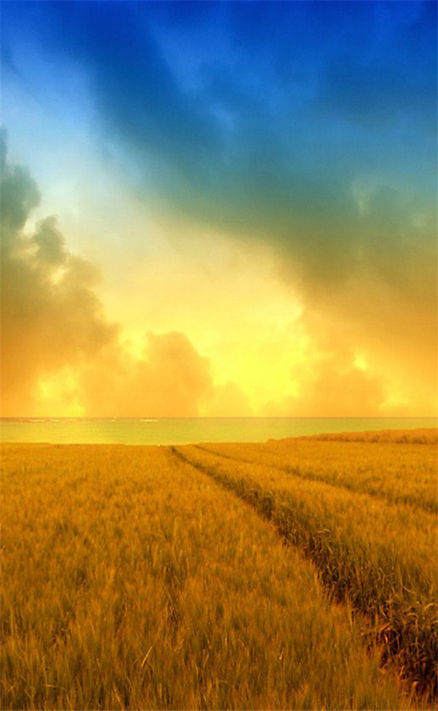 缓解眼睛疲劳壁纸颜色,缓解眼睛疲劳的壁纸高清