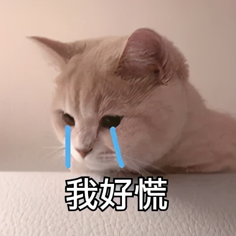 淮北一中是省重点还是市重点,淮北一中和淮北市第一中学