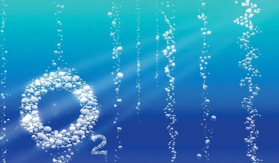 地球走向何处,地球南北极通往何处视频