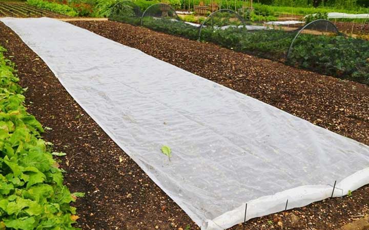 旧床单被罩如何处理可以送人吗,床单洗旧了怎么办