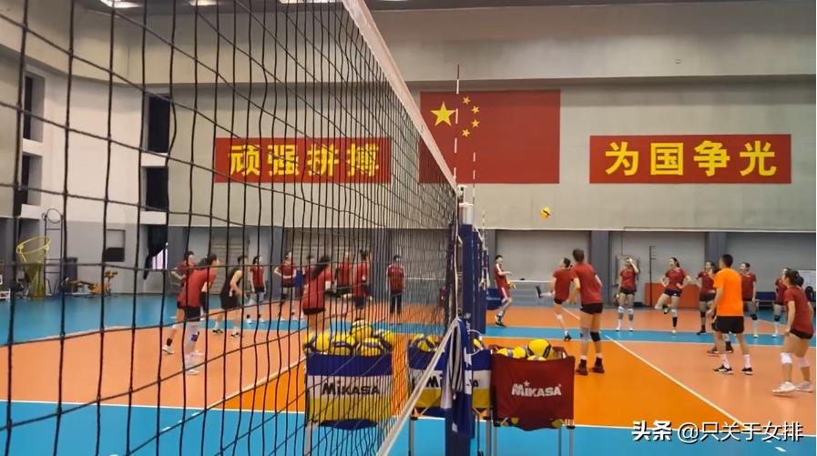 郎平最新训练视频,郎平谈女排最新比赛