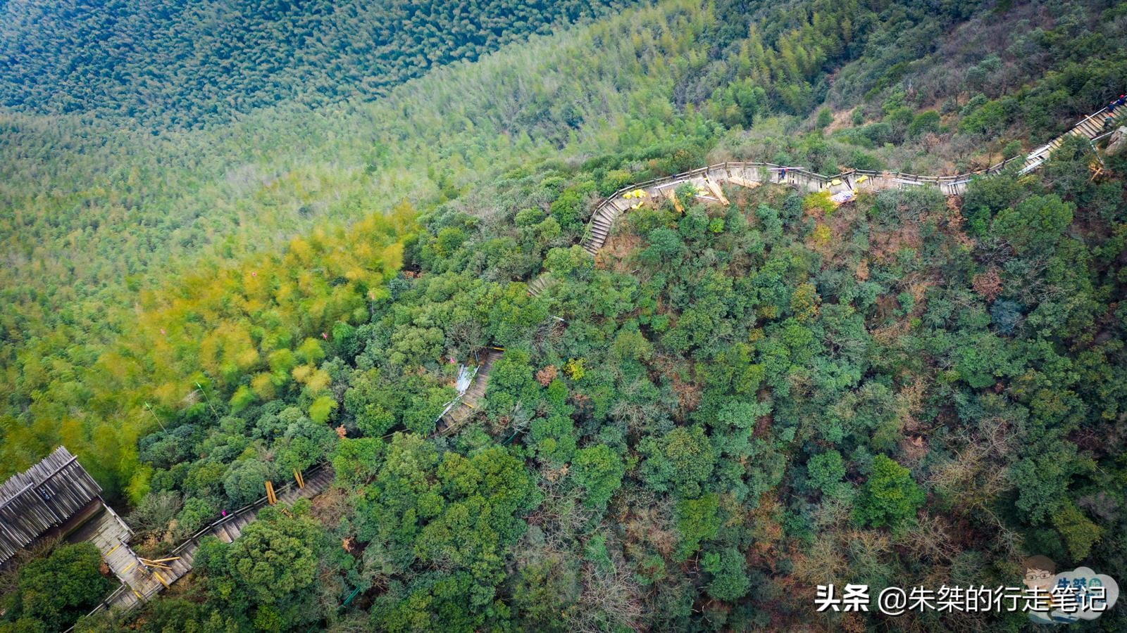 最美竹海在哪里,中国最美竹海风景区