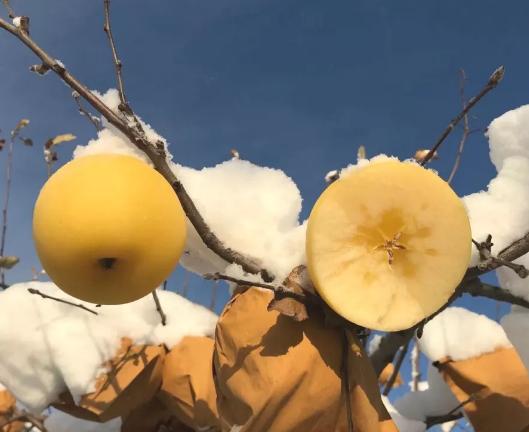 这些水果给娃吃要格外注意,这4种水果少让小孩子吃