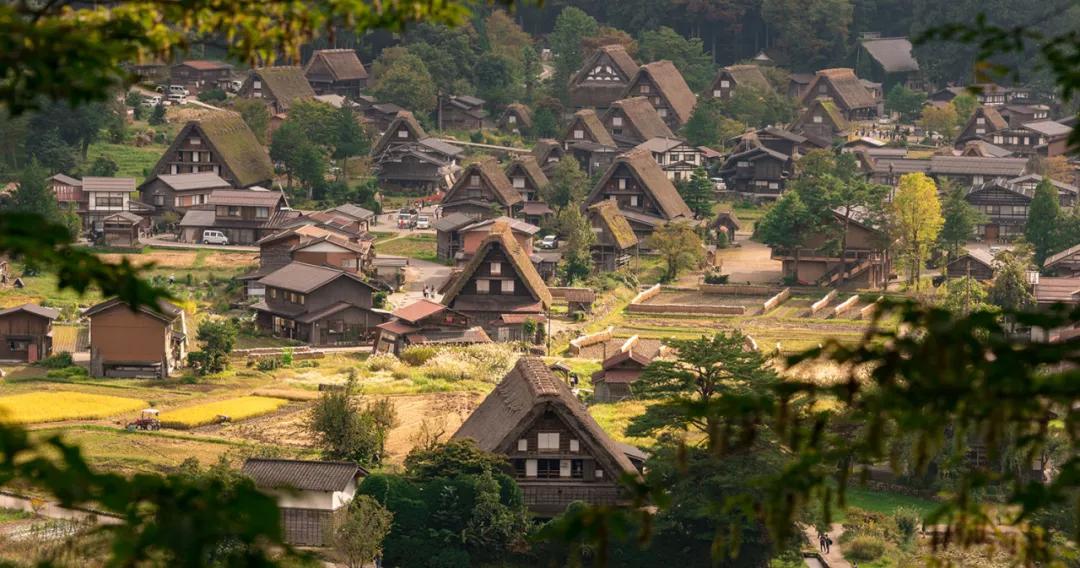 乡村振兴产业发展模式的有效做法,山东乡村振兴三个模式是什么